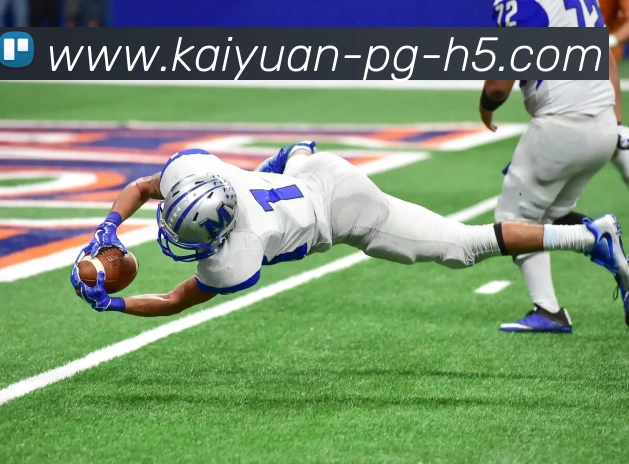 开元体育平台生态图